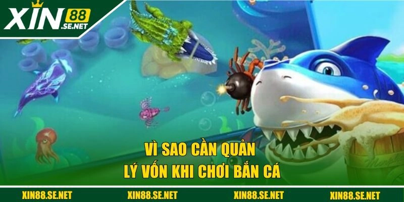 Vì sao cần quản lý vốn khi chơi bắn cá 