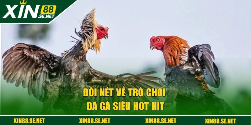 Đôi nét về trò chơi đá gà siêu hot hit