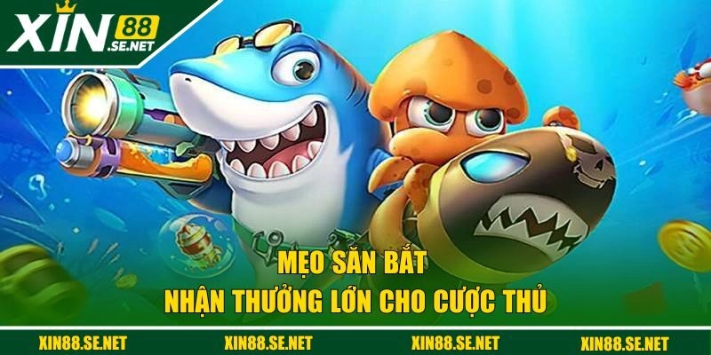 Mẹo săn bắt nhận thưởng lớn cho cược thủ