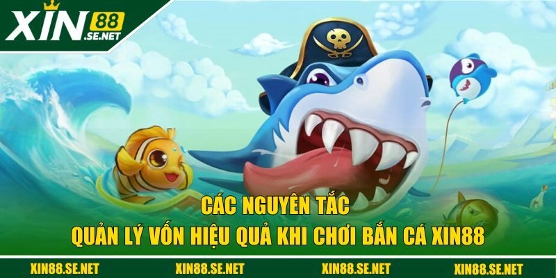 Các nguyên tắc quản lý vốn hiệu quả tại bắn cá XIN88 