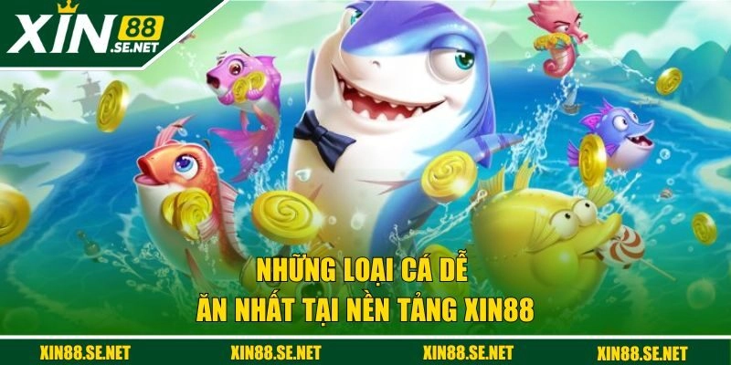 Những loại cá dễ ăn nhất tại nền tảng XIN88 