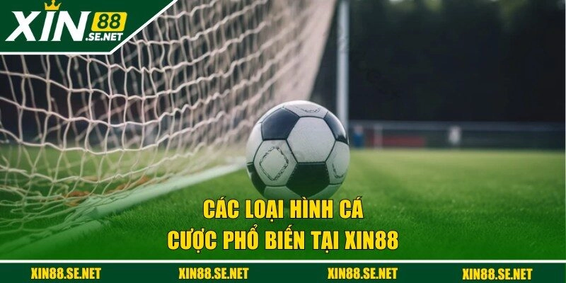 Các loại hình cá cược phổ biến tại XIN88