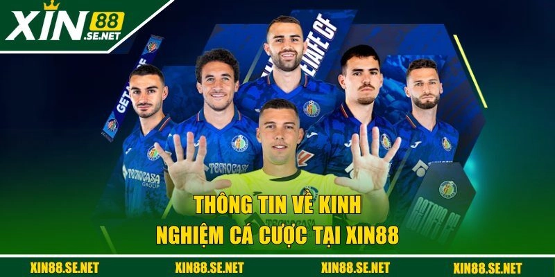 Thông tin về kinh nghiệm cá cược tại Xin88 