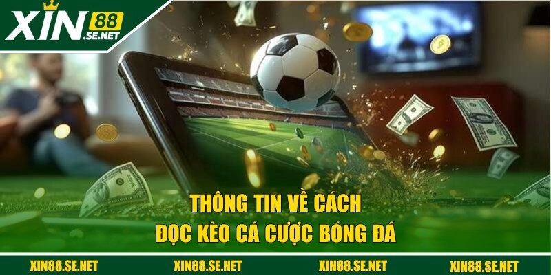 Thông tin về cách đọc kèo cá cược bóng đá