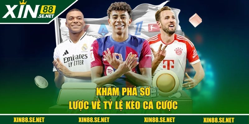 Khám phá sơ lược về tỷ lệ kèo cá cược 